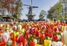 Top 10 Most Beautiful Gardens in the World