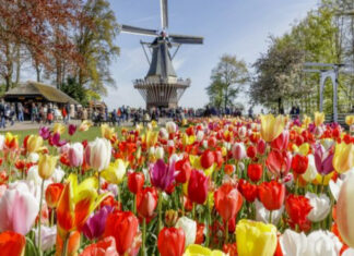 Top 10 Most Beautiful Gardens in the World