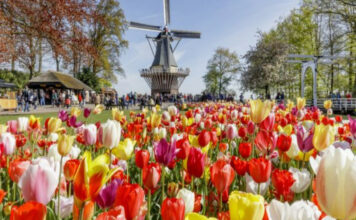 Top 10 Most Beautiful Gardens in the World