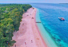 10 Wonderful Pink Beaches in the World