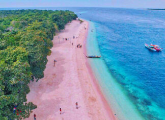 10 Wonderful Pink Beaches in the World