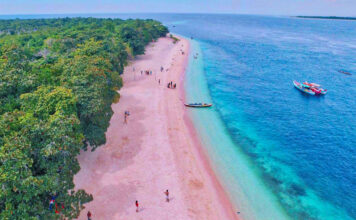10 Wonderful Pink Beaches in the World