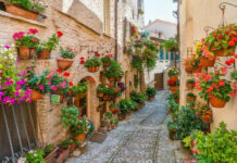 Reasons to Visit Spello Village in Italy