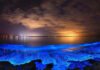 6 Incredible Places in the World where the Sea Glows