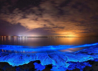 6 Incredible Places in the World where the Sea Glows