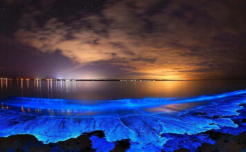 6 Incredible Places in the World where the Sea Glows
