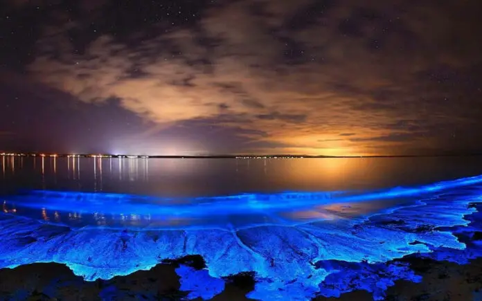6 Incredible Places in the World where the Sea Glows