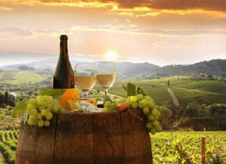 Unforgettable Things to Do in Tuscany