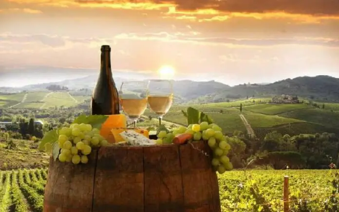 Unforgettable Things to Do in Tuscany