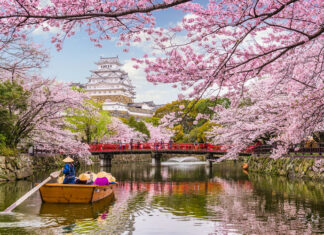 The Ultimate Travel Bucket List for 2025