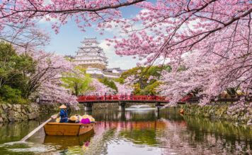 The Ultimate Travel Bucket List for 2025