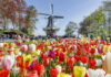 Best Springtime Destinations in Europe