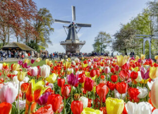 Best Springtime Destinations in Europe