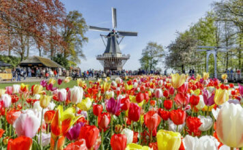Best Springtime Destinations in Europe