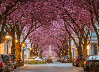 9 Most Beautiful Flowered Streets in the World
