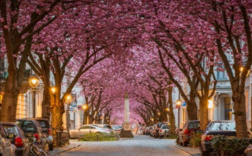 9 Most Beautiful Flowered Streets in the World
