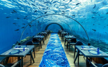 Top 10 Weirdest Restaurants in The World