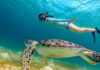 Best Places in the World to Swim with Sea Turtles