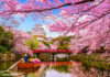 9 Best Places in the World to See Spring Blossoms at Their Peak