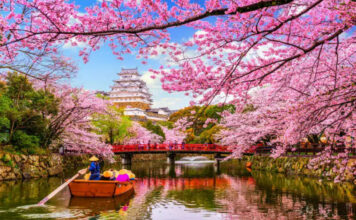 9 Best Places in the World to See Spring Blossoms at Their Peak
