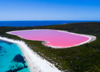 10 Pink Lakes From Around the World
