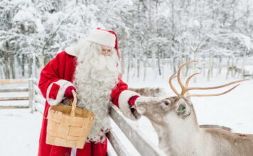 Where To Go When: Top Destinations for Each Month of the Year