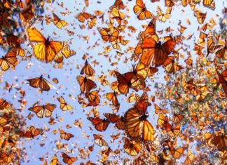 10 Most Beautiful Natural Phenomena in the World