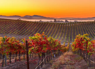 7 Best Fall Getaways in the USA