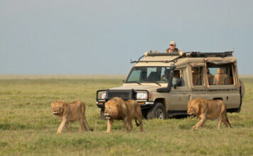 Top 10 Greatest Travel Experiences from Around the World