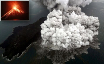 10 of the Deadliest Natural Disasters in History