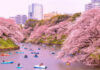 10 Places to View Cherry Blossoms Around the World
