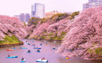 10 Places to View Cherry Blossoms Around the World