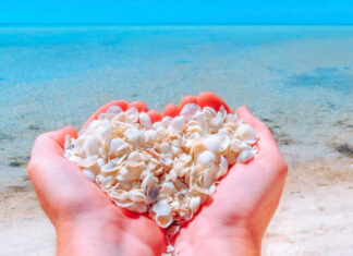 7 of the Best Beaches in the World to Find Seashells
