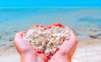 7 of the Best Beaches in the World to Find Seashells