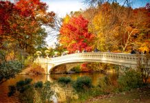 10 of the Best Places to Take a Fall Photo in NYC