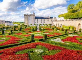 Top 8 Most Beautiful Gardens to Visit in France