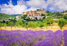 Top 10 Places to Visit in France in 2025