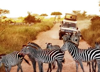 7 Life-Changing Travel Experiences Around the World