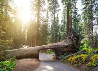 Top 10 Most Beautiful Places in California