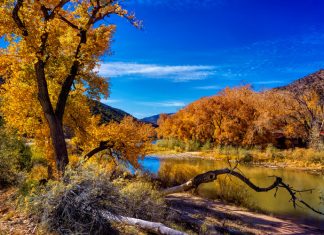 7 Best USA Places to Visit This Autumn