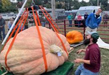 The 10 Best Pumpkin Festivals in the USA
