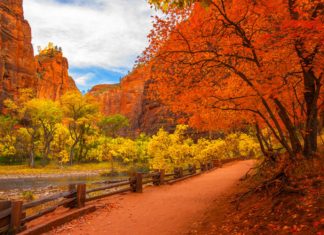 The Best U.S. National Parks to Visit in the Autumn