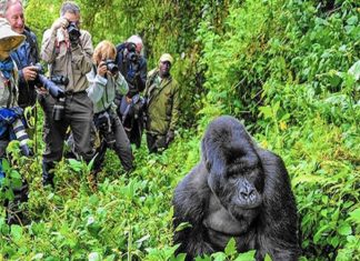 10 Incredible National Parks in Africa