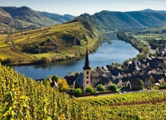 10 Countries That Drink the Most Wine