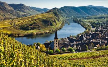 10 Countries That Drink the Most Wine