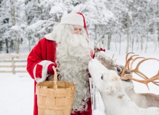 Discover the Magic of Lapland: Top Activities to Explore