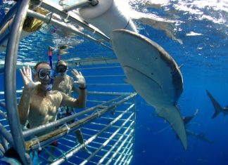 10 Places in the World Infested with Sharks