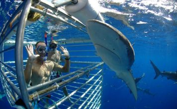 10 Places in the World Infested with Sharks