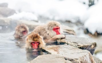 These 10 Winter Wonderland Destinations Will Not Disappoint