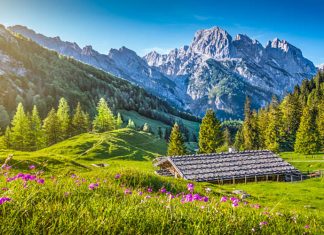 Best Destinations for Nature Lovers in Europe